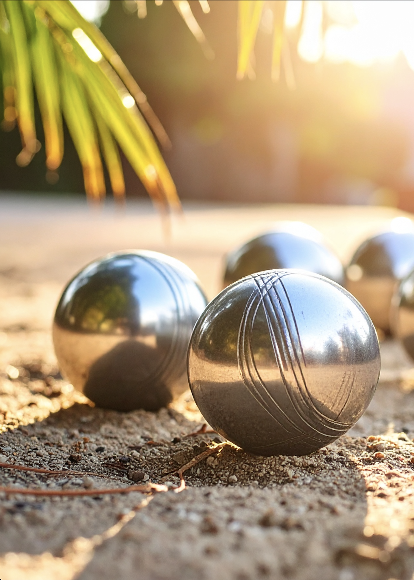 Terrain de Pétanque et Molkky